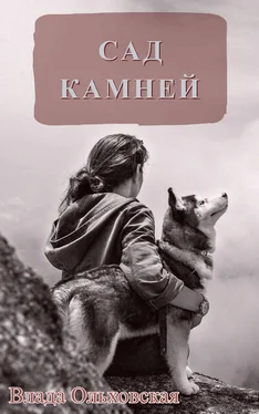 Влада Ольховская Сад камней обложка книги