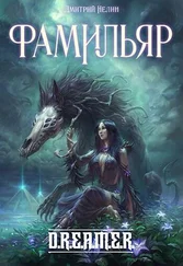 Дмитрий Нелин - Фамильяр [СИ]