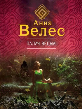 Анна Велес Палач ведьм обложка книги