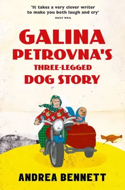 Andrea Bennett Galina Petrovna's Three-Legged Dog Story обложка книги