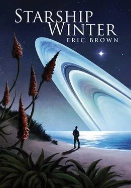 Эрик Браун Starship Winter обложка книги