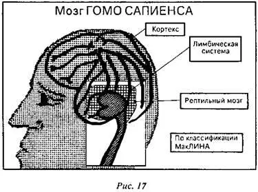 Если человек находится в ситуации дистресса то две старые части мозга - фото 22