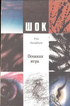 Рэй Брэдбери Осенняя игра обложка книги