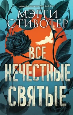 Мэгги Стивотер Все нечестные святые обложка книги