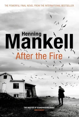 Хеннинг Манкелль After the Fire обложка книги