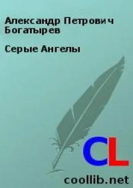 Александр Богатырёв Серые Ангелы обложка книги