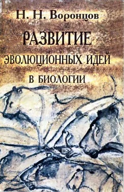 Николай Воронцов Развитие эволюционных идей в биологии обложка книги