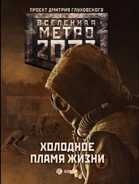 Сергей Семенов Метро 2033: Холодное пламя жизни [сборник litres] обложка книги