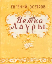 Евгений Осетров - Ветка Лауры