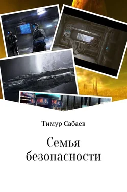 Тимур Сабаев Семья безопасности обложка книги