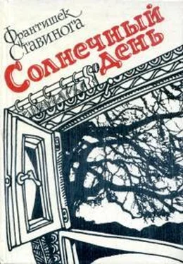 Франтишек Ставинога Солнечный день обложка книги