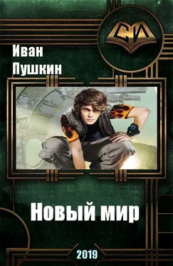Иван Пушкин Новый мир (СИ) обложка книги