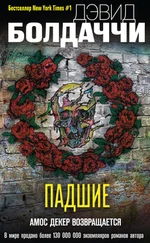Дэвид Балдаччи - Падшие