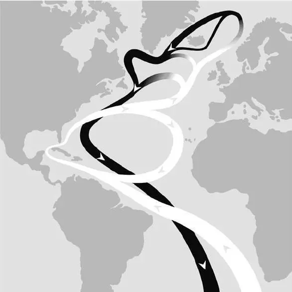 Схема движения течения Гольфстрим Так называемых великих массовых вымираний - фото 8