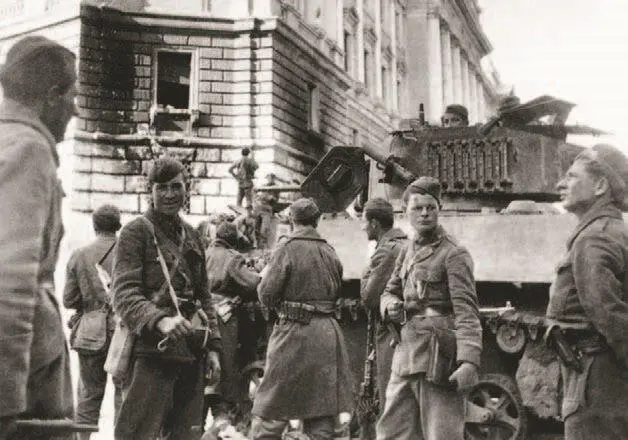 Войска Тито в Трсте 1945 год Правда на новозеландцев югославы за это зла не - фото 213