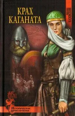 Михаил Казовский Крах каганата обложка книги