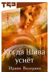 Ирина Валерина - Когда Шива уснёт [СИ]
