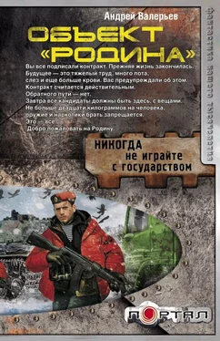 Андрей Валерьев Объект «Родина» обложка книги