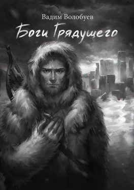 Вадим Волобуев Боги грядущего обложка книги
