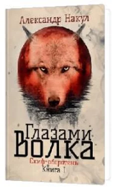 Александр Накул Глазами волка [СИ] обложка книги