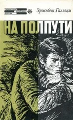 Эржебет Галгоци - На полпути