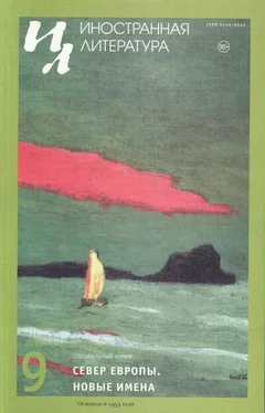 Сьон Сигурдссон Скугга-Бальдур обложка книги