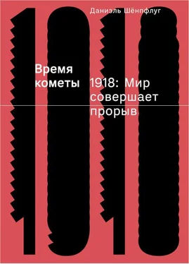 Даниэль Шёнпфлуг Время кометы. 1918: Мир совершает прорыв обложка книги