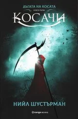 Нил Шустерман - Косачи