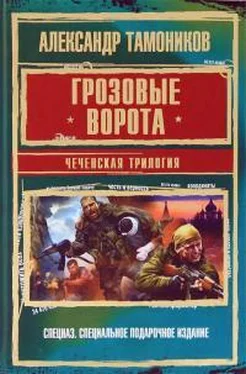 Александр Тамоников Грозовые ворота. Чеченская трилогия обложка книги