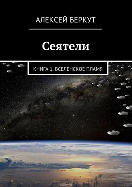 Алексей Беркут Вселенское пламя обложка книги