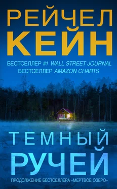 Рейчел Кейн Тёмный ручей обложка книги