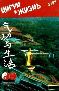 Неизвестный Автор «Цигун и жизнь» («Цигун и спорт»)-02 (1997) обложка книги