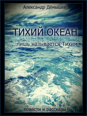 Александр Дёмышев Тихий океан… лишь называется тихим обложка книги