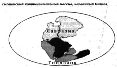 Рис 1а Метеоролог Альфред Вегенер был осмеян в 1915м когда он предположил - фото 3