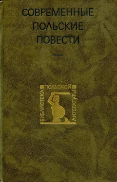 Ярослав Ивашкевич Современные польские повести обложка книги