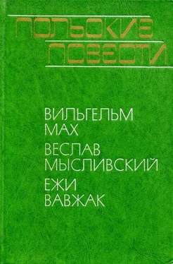 Вильгельм Мах Польские повести обложка книги