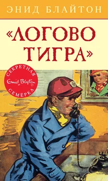 Энид Блайтон «Логово тигра» обложка книги