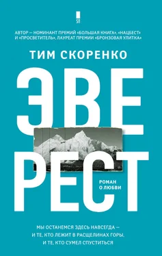 Тим Скоренко Эверест обложка книги