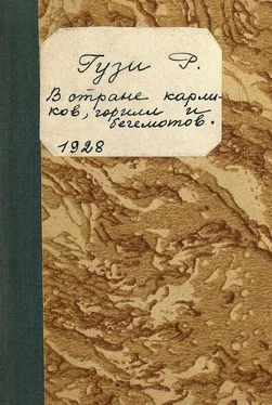 Ренэ Гузи В стране карликов, горилл и бегемотов обложка книги