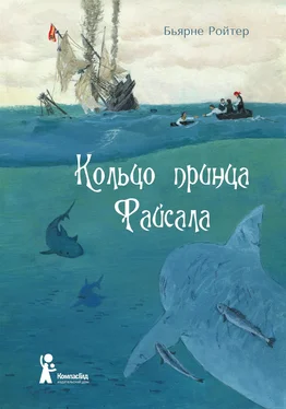 Бьярне Ройтер Кольцо принца Файсала обложка книги