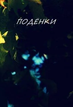 Ника Батхен Поденки [СИ] обложка книги