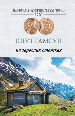 Кнут Гамсун На зарослих стежках обложка книги