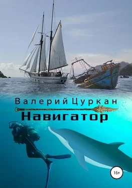 Валерий Цуркан Навигатор обложка книги