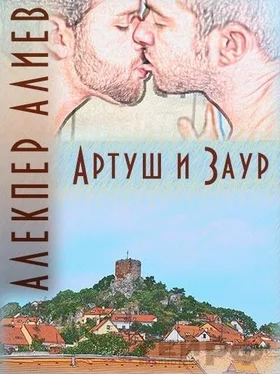 Алекпер Алиев Артуш и Заур обложка книги