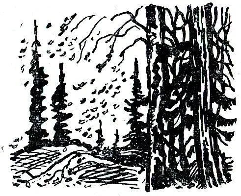 1 Счастливая Я понимаю твой восторг Сидеть в аудитории где до тебя учились - фото 8