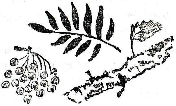 1 Не обижайся писать некогда идет окорение Директор разрешил петрушинскую - фото 11