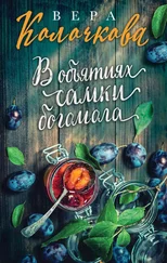 Вера Колочкова - В объятиях самки богомола