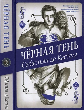 Себастьян Кастелл Чёрная Тень обложка книги