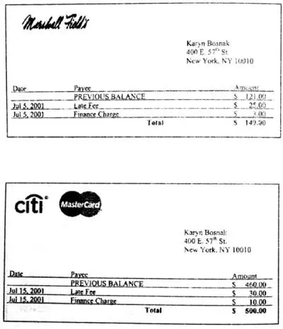 Спасите Карин - фото 21