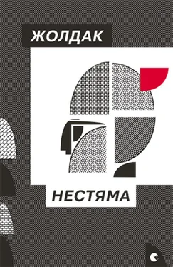 Богдан Жолдак Нестяма обложка книги